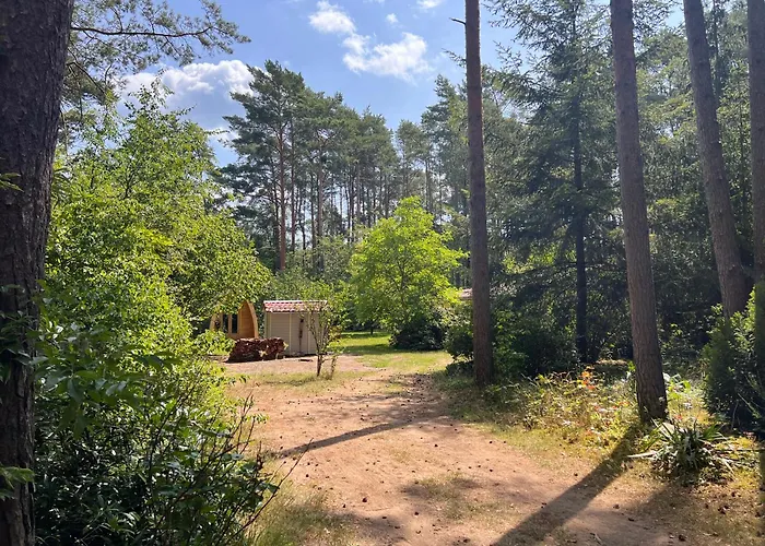 Ferienhaus Im Wald